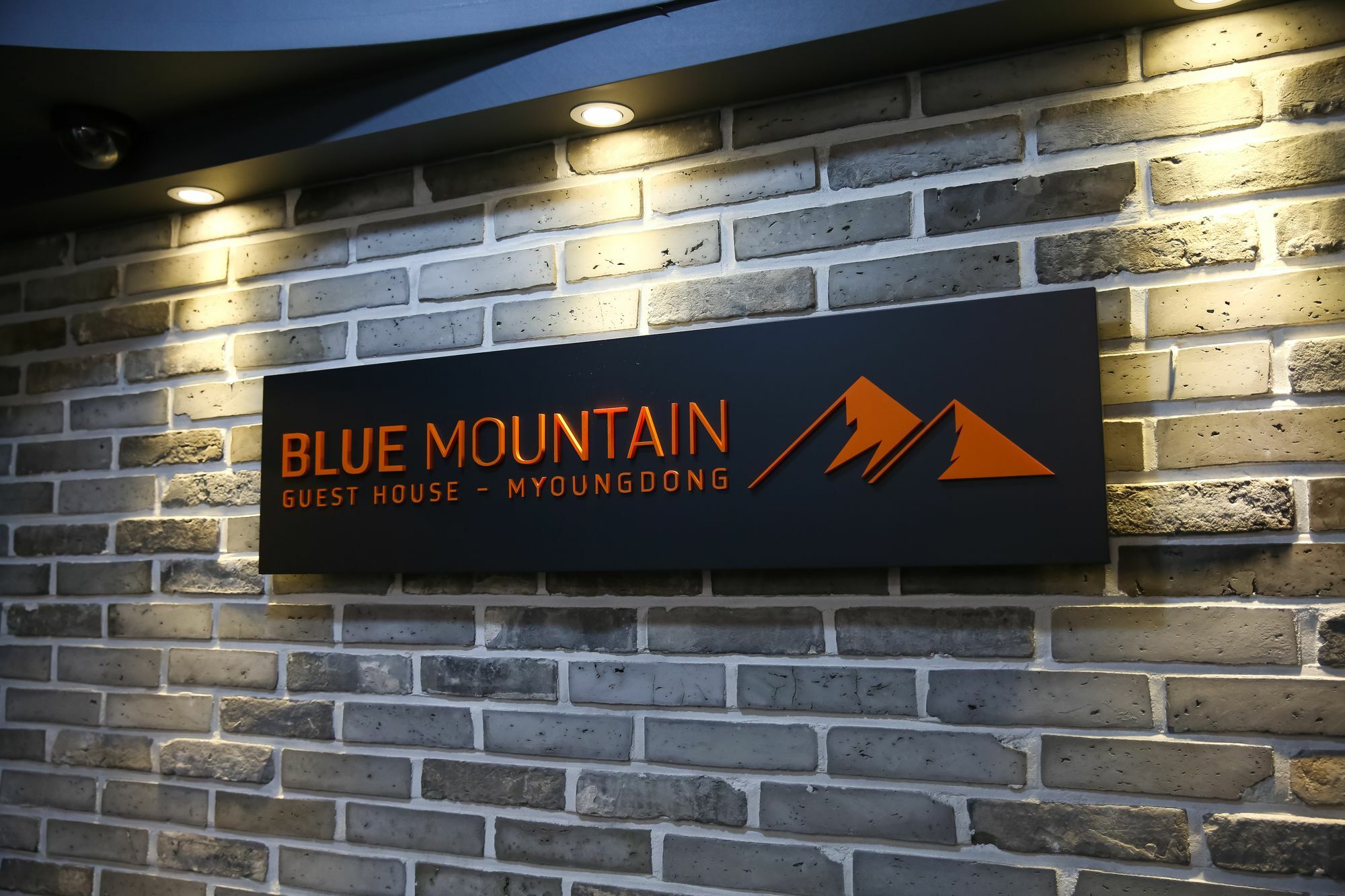 Blue Mountain Myeong-Dong Hotel Seoul Ngoại thất bức ảnh