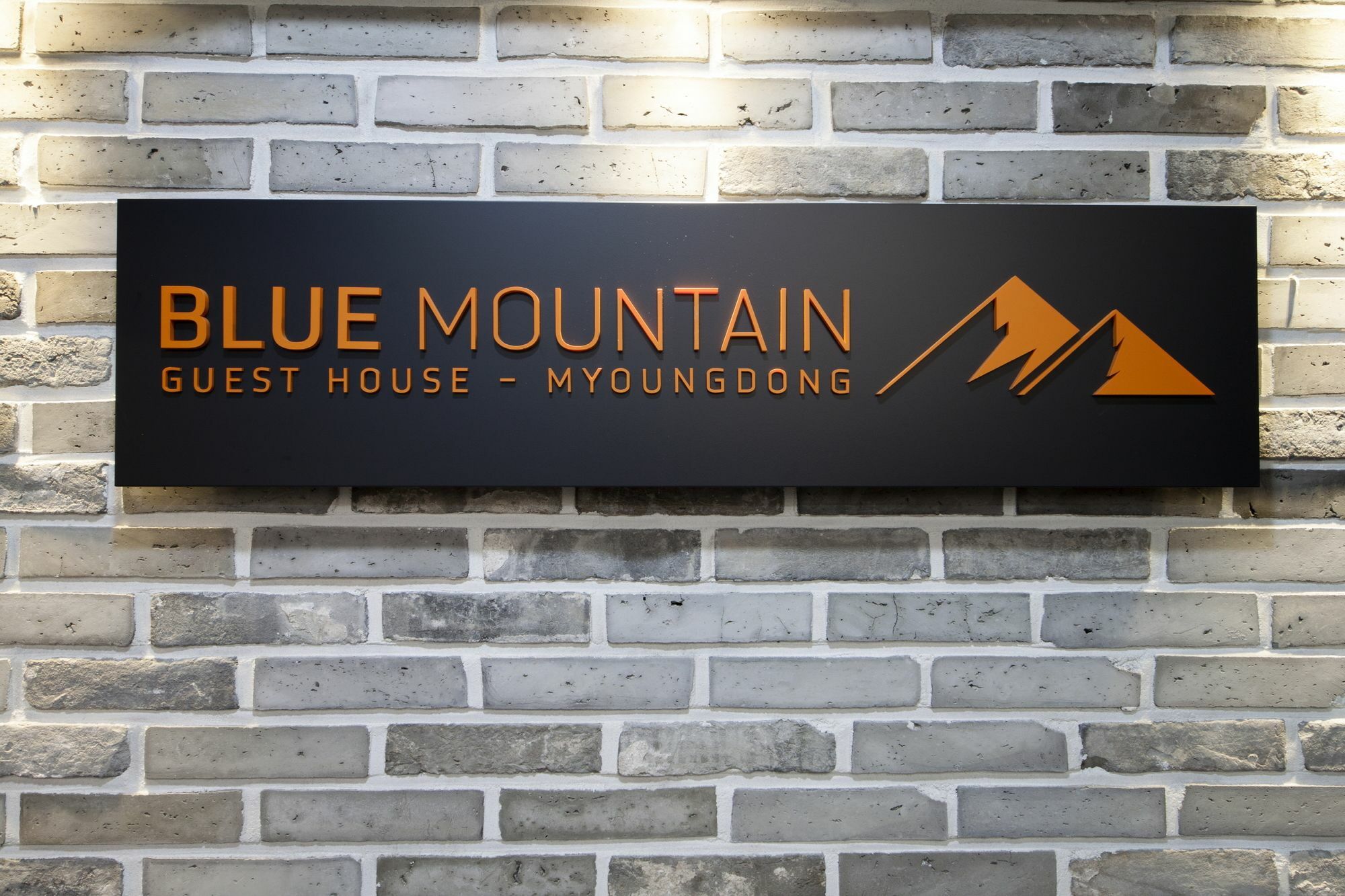 Blue Mountain Myeong-Dong Hotel Seoul Ngoại thất bức ảnh