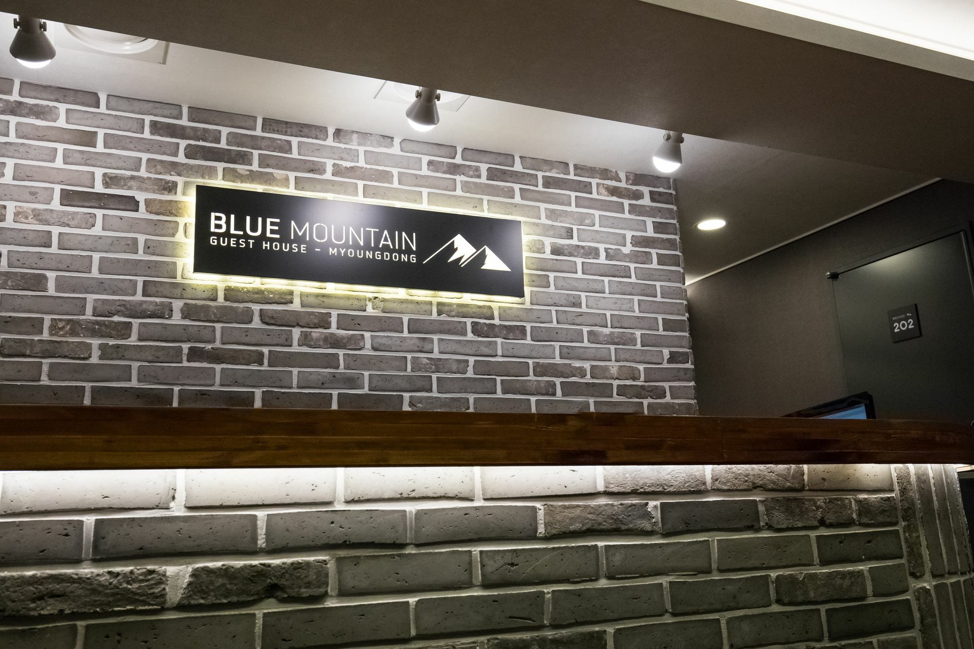Blue Mountain Myeong-Dong Hotel Seoul Ngoại thất bức ảnh