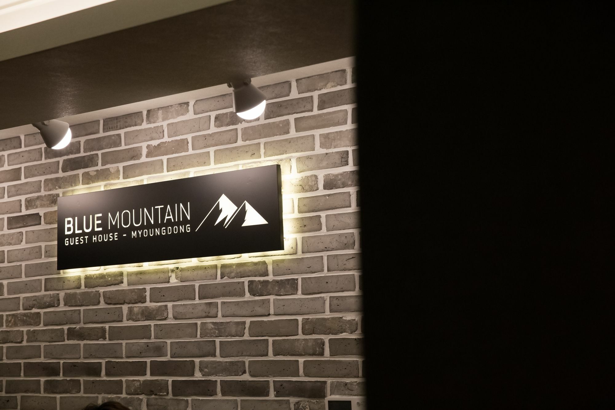 Blue Mountain Myeong-Dong Hotel Seoul Ngoại thất bức ảnh